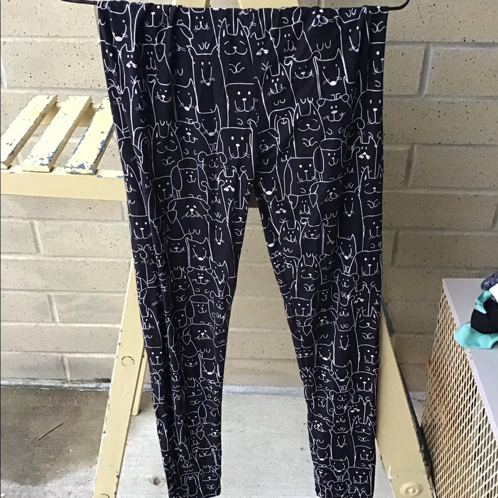 Black and White Kitty Tights